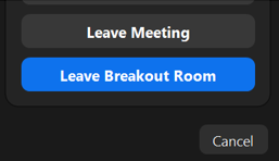 The Zoom interface to Leave the Meeting or Leave the Breakout Room