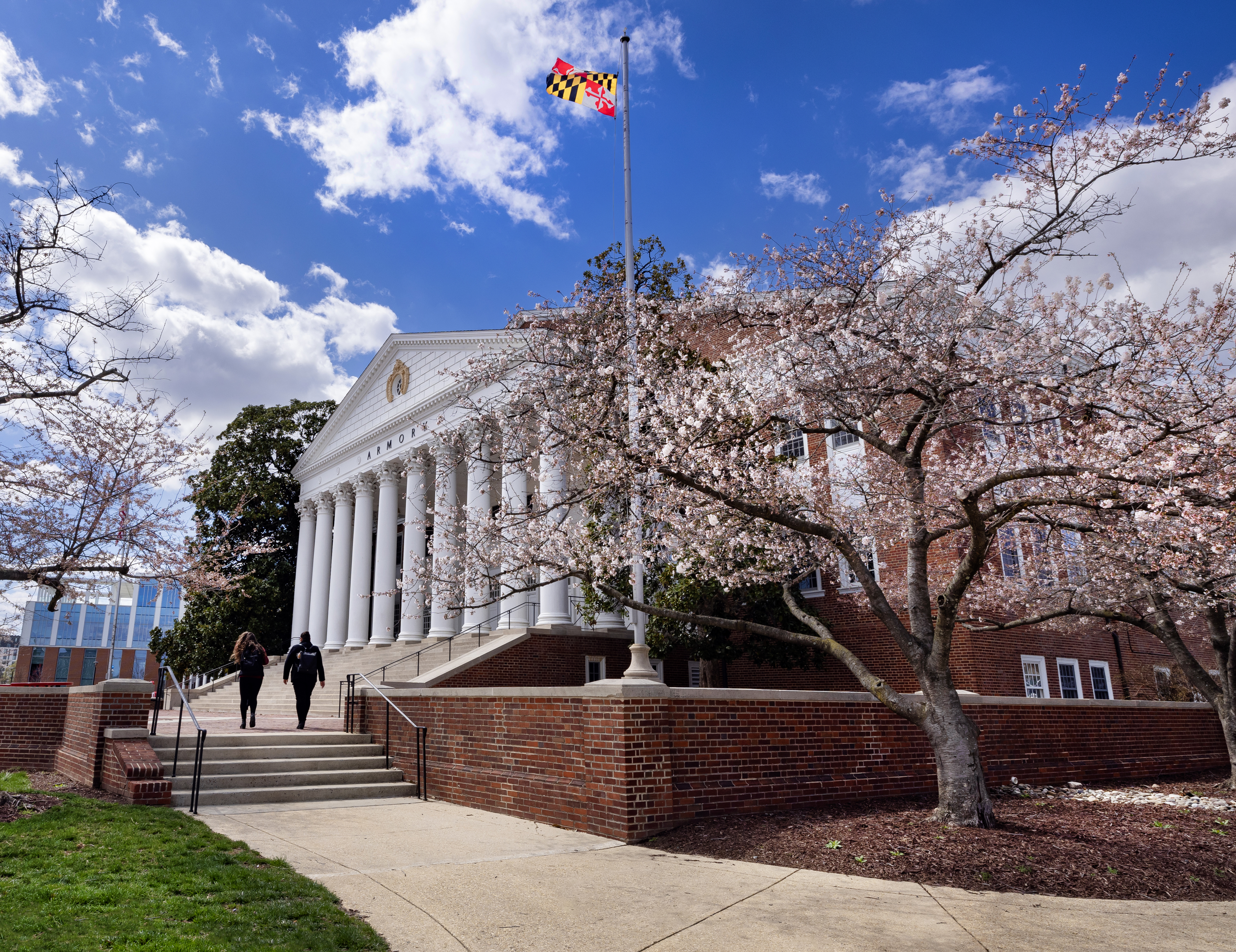 Cherry blossom trees outside the armory