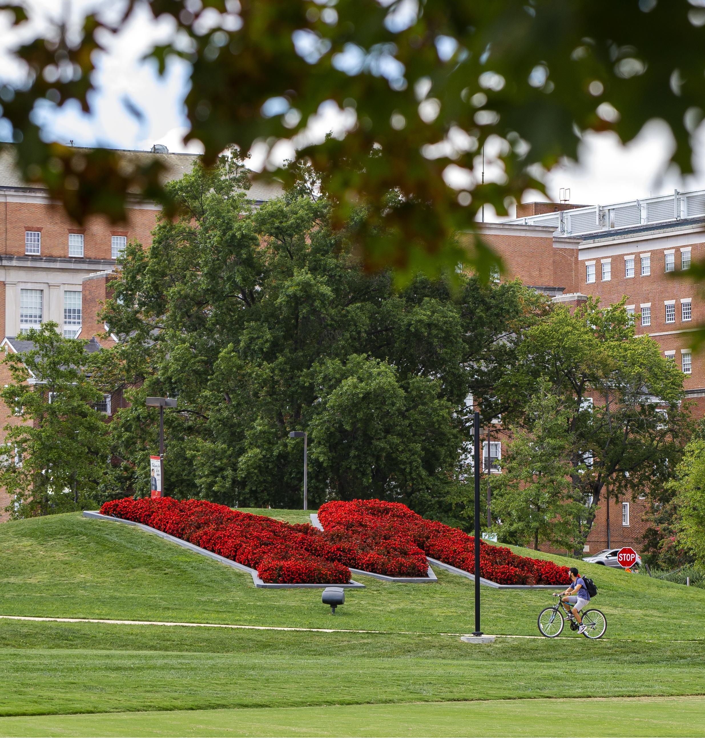 The M in red flowers at the University of Maryland, College Park